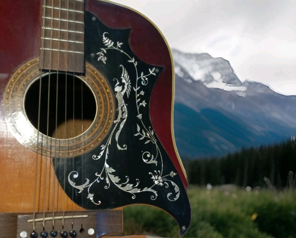 Винтажный 1970-е Gibson копия китайский Repro 01010 золотистый колибри никогда не играл - Изображение 2 из 4