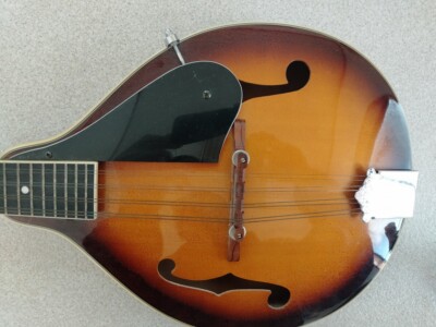 SAMlCK SM20TS mandolin | eBay