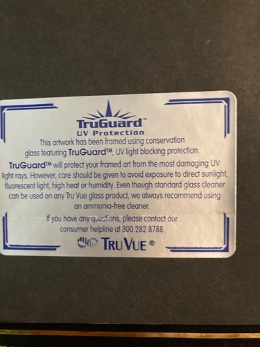 Tiger Woods-Golfer, Championship Focus, cubierta superior, firma facsímil, enmarcado - Imagen 15 de 15