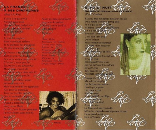 Les Negresses Vertes ‎Famille Nombreuse CASSETTE ALBUM Folk Rock Pop Rock MCDLB2 - Picture 10 of 12