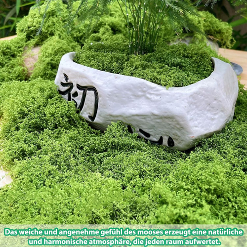 100G Moos, Deko Moos Künstlich, Moos Zum Basteln Kunstmoos Kunstmoos Zum Dekorie - Bild 6 von 12