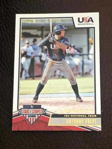 2019 Panini USA Baseball Stars & Stripes - Stars Autos Relics - Pick Your Card! - Picture 52 of 107