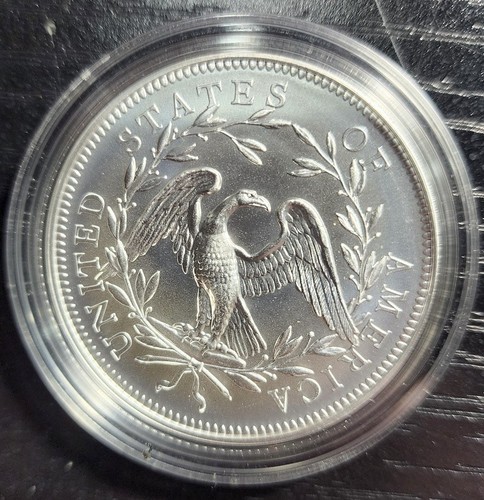 Medaille 2024 Silber 230 Jahre fließendes Haar mit OGP - Bild 2 von 2