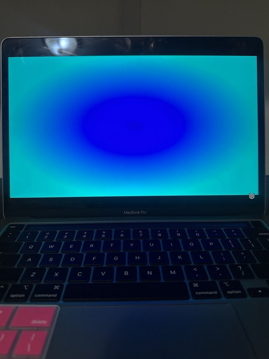 Apple MacBook Pro 13 in 2022 Space Gray/Apple M2 3.49 GHz