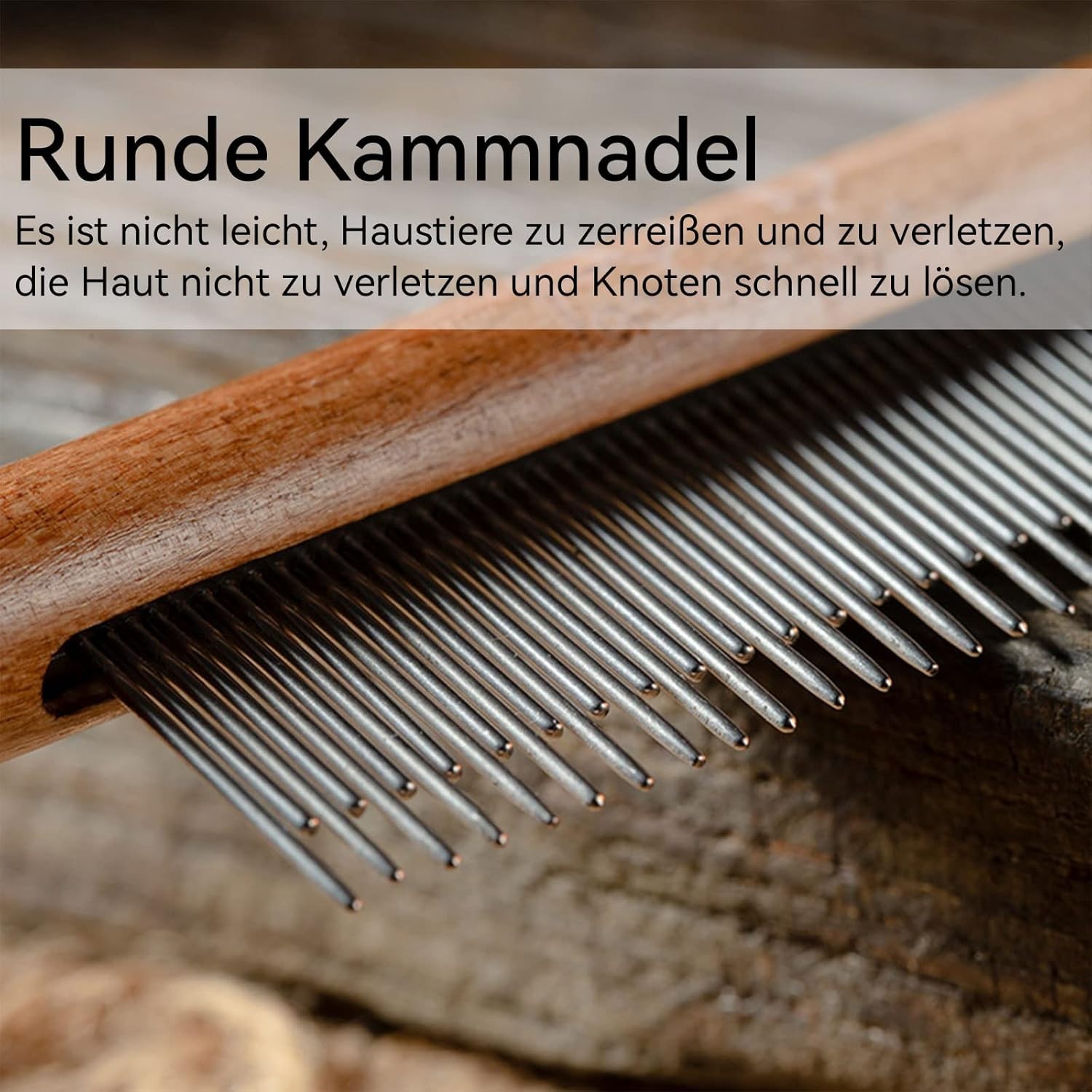 Bild 25 von 29