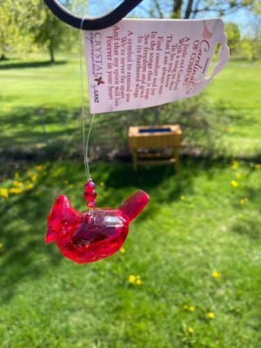 Ornamento Cardinal of Comfort di Ganz Crystal Expressions (SPEDIZIONE GRATUITA) - Foto 2 di 3