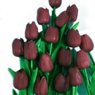 Bild 9 von 10