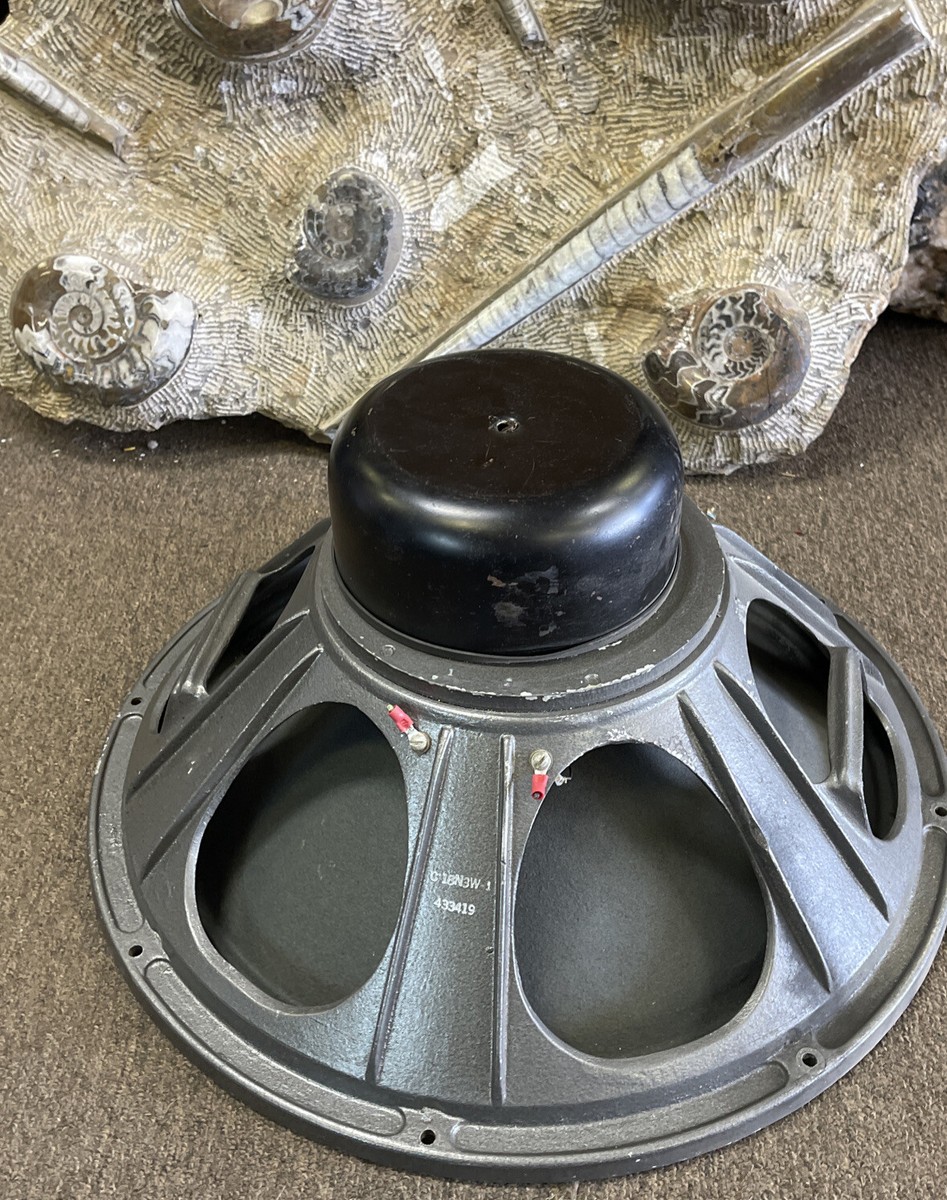 Vintage 1960s Cleveland C18n3w 18” Speaker from Ampeg B18n Flip