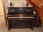 Foto 6 di 11