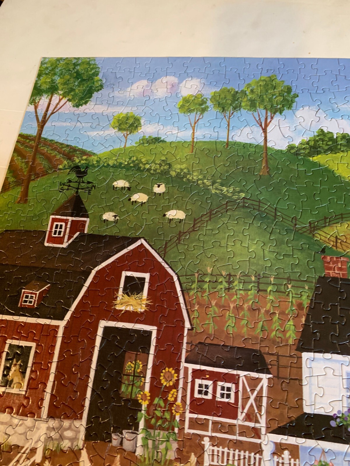 Picture 4 of 8