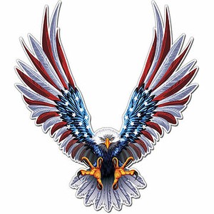 6x6.75 Inch Vinyl Car USA Eagle Wings United States Fla 6x6.75 Inch Vinyl Car USA Eagle Wings United States Fla