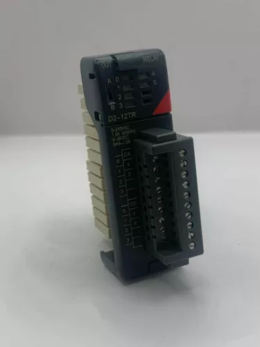 DirectLOGIC D2-12TR DL205 relay output module, 12-point, 6-24 VDC/6-240 VAC