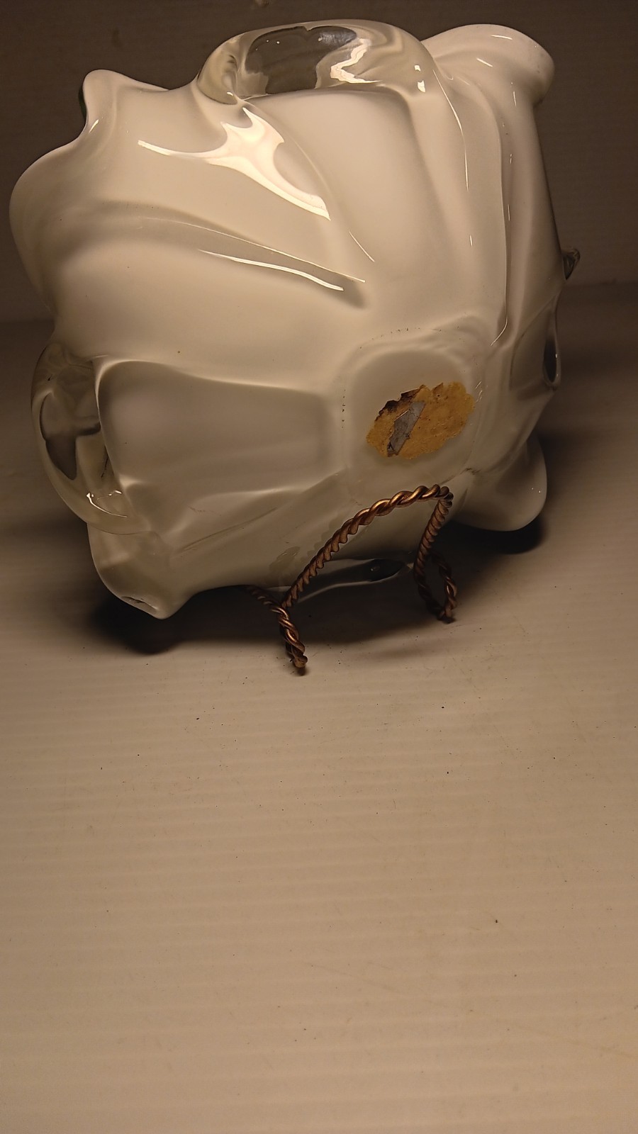 Picture 5 of 12