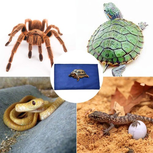 Almohadilla térmica 2 unidades reptil con termostato mascota manta eléctrica perro - Imagen 5 de 12