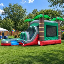Commercial Inflatable Tropical Red Bounce House Water Slide Combo With Blower