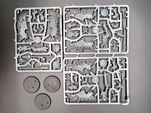 Stormcast Eternals Prosecutors 3 Miniaturen Warhammer Age of Sigmar - Bild 1 von 2
