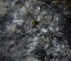 Bild 10 von 16