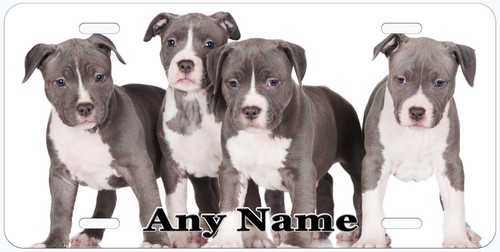 Pit Bull Dog Any Name Personalized Novelty Car License Plate - Picture 10 of 13