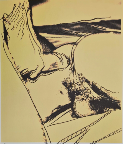 ANDY WARHOL * Sex Parts * signed lithograph * Kunstdruck * limited # 31/125 - Bild 2 von 7