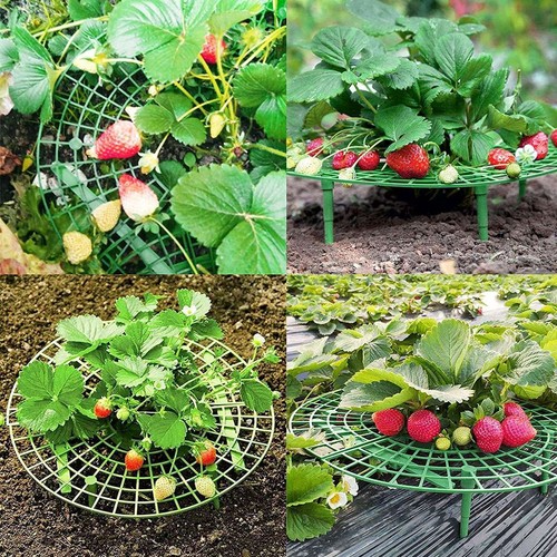 5/10PCS Strawberry Stand Frame Holder Balcony Planting Rack Fruit Support Garden - Picture 4 of 10