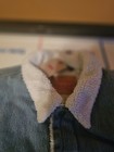 Bild 3 von 15