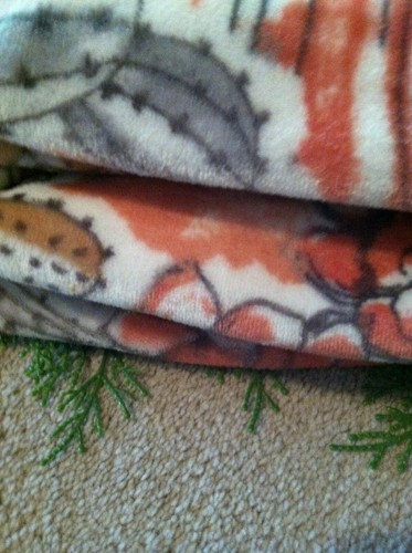 NWT Cactus Flower Ultra Plush Throw Blanket 60" x 70" Red Orange Gray Beige - Picture 10 of 10