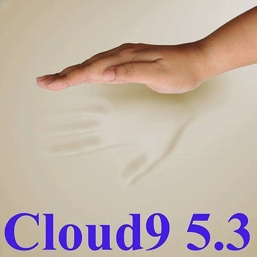 CLOUD9 5.3 QUEEN 4" MEMORY FOAM MATTRESS PAD, BED TOPPER