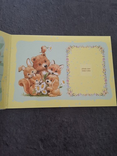 COFFRET PAYS BAS 1997 NAISSANCE BEBE / NEDERLAND BABY MINTSET SET GULDEN & CENTS - Picture 7 of 8
