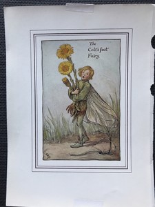 Vintage-Print-THE-COLTSFOOT-FAIRY-Cicely-Mary-Barker-c1935-Flower-Fairies