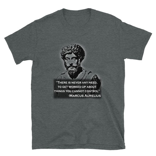 Stoicism Things You Cannot Control Short-Sleeve Unisex T-Shirt - Picture 12 of 13