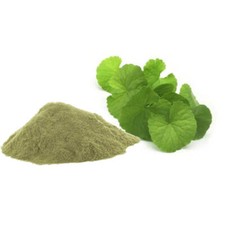 Brahmi Powder Bacopa Moniera Organic Indian herb Memory Boaster FREE SHIP 50g