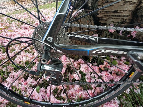 Orbea Orca GTH Gold Series Carbon Fibre 2012 Men's Bike 57cm Black\Blue Race. - Picture 6 of 24