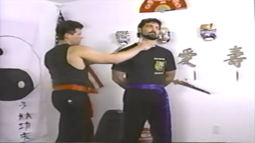 Pressure Point Self Defense: Unlock Shaolin Pressure Point Secrets | Martial Art - Picture 9 of 12