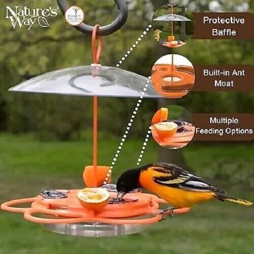 Nature's Way OFP1 All-in-One Oriole Buffet Bird Feeder Orange - Picture 5 of 5