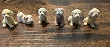 Little fuzzy puppy a lot of 6