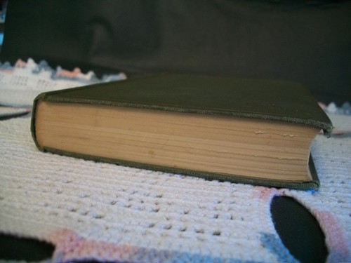 Annihilation (Isabel Ostrander, 1924 Hardcover) - Picture 8 of 10