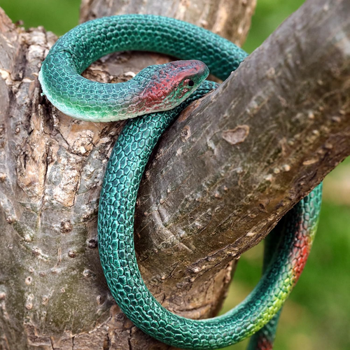 3 Pieces Rubber Snakes Realistic Large Lifelike Fake Toys Plastic Garden Snake t - Picture 5 of 12