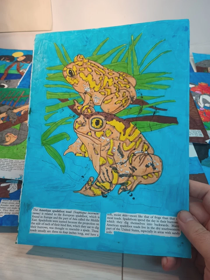 (1) Animal usado varios colores dos caras usado 18 páginas más imágenes  Foto 2 de 4