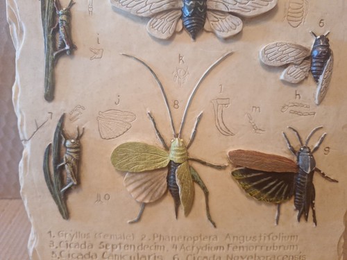 Metamorphosis Grasshopper Cycle Ceramic Wall Plaque Decoline New York Handmade - Picture 4 of 5