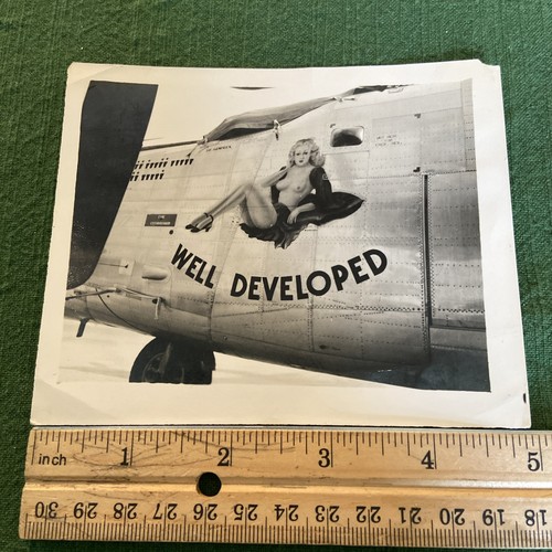 Original WWII AAF Nose Art Photo-B-24 Liberator “Well Developed” B&W Glossy