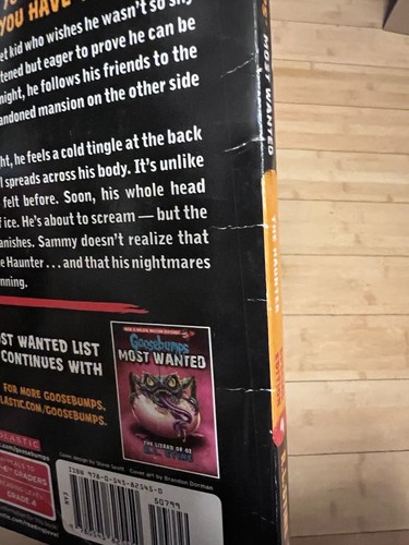 GOOSEBUMPS Lot Of 29 Horrorland Fear St Most Wanted  Books By R.L. Stine 90-2019 - Picture 23 of 23