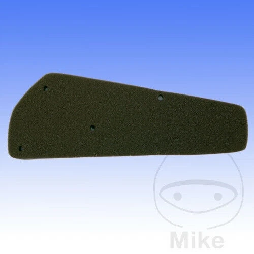 Scooter Athena Motorcycle & Scooter Air Filters