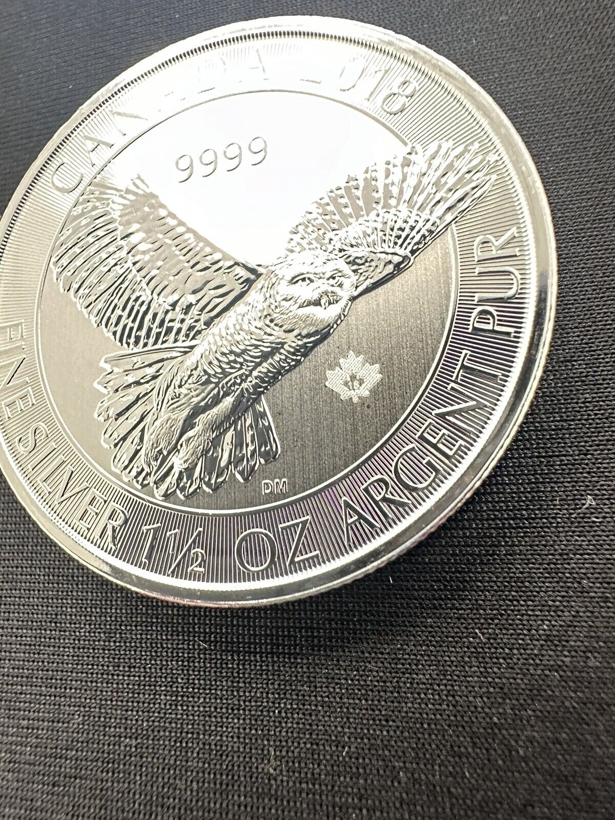 Picture 5 of 7