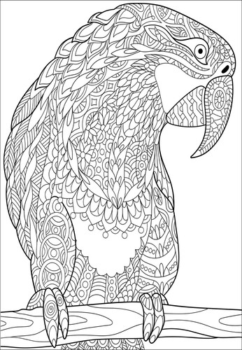 288 Wholesale Animal Adult & Children Colour Greeting Cards Birthday & Occasions - Picture 16 of 24