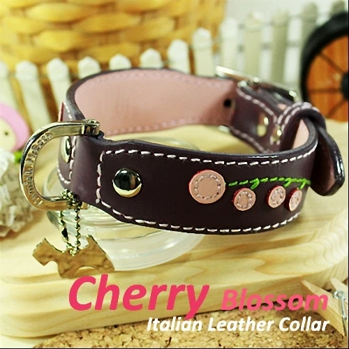 Luxury and Cute Dog Collar- Cherry Blossom Genuine Leather Purple&Pink Leash