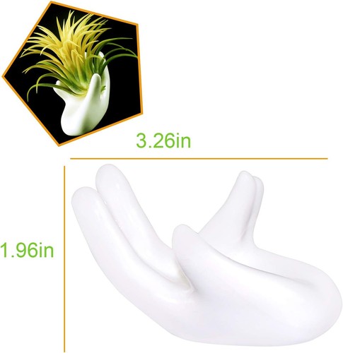 6 Pack Ceramic Air Plant Stand Holder, Hand Shape Tillandsia Airplant White - Picture 5 of 7