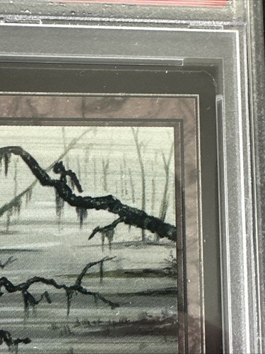 SWAMP V3/C Beta 1993 Magic The Gathering (MTG) PSA 8 NM-MINT - Picture 4 of 13