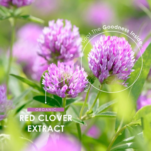 Menopause PMS Red Clover 5250mg Tablets Hot Flushes Female HRT Vegan Organic - Picture 10 of 16