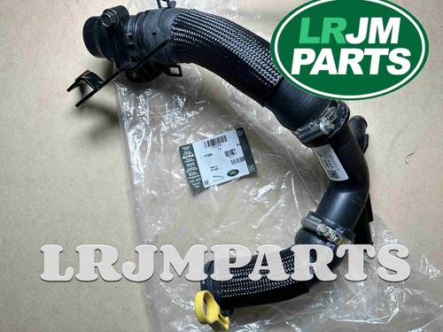 Genuine Land Range Rover Defender I6 3.0 THERMOSTAT HOSE COOLANT PIPE 104123593 - Picture 2 of 2