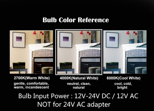 12V 24V DC Input 8W LED Bulb, ST21(ST64) Style, Dimmable with 12V DC Dimmer, 400 - Picture 5 of 6